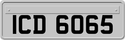 ICD6065