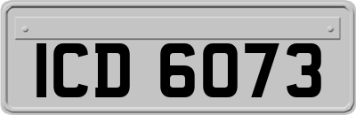 ICD6073