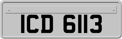 ICD6113