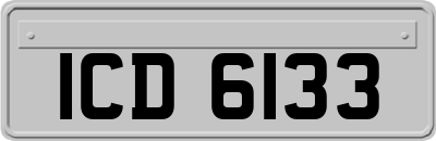 ICD6133