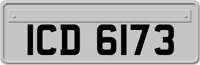 ICD6173
