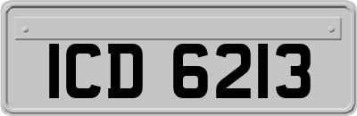 ICD6213