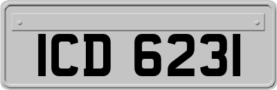 ICD6231