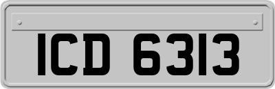 ICD6313