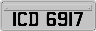 ICD6917