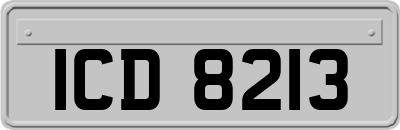 ICD8213