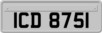 ICD8751