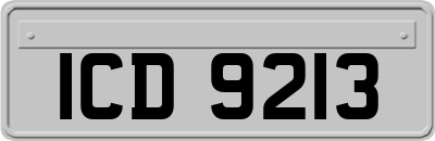 ICD9213