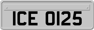 ICE0125
