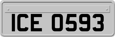 ICE0593