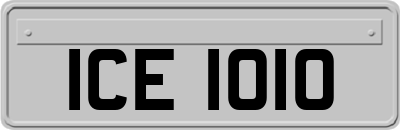 ICE1010