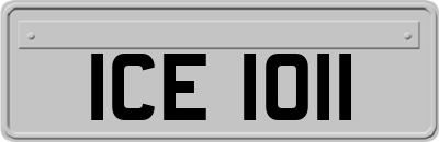 ICE1011