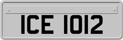 ICE1012
