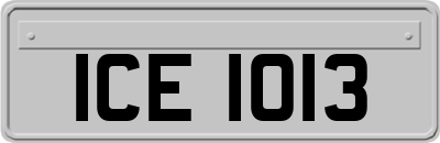 ICE1013
