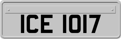 ICE1017