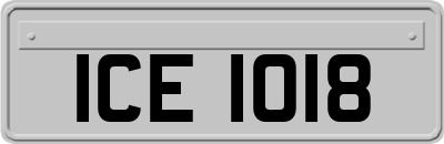 ICE1018