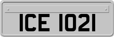 ICE1021