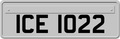 ICE1022