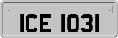 ICE1031