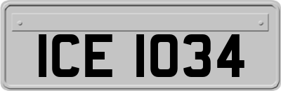ICE1034
