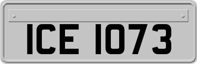 ICE1073