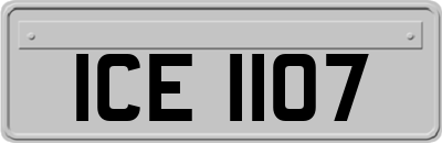 ICE1107