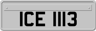 ICE1113