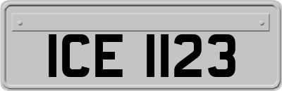 ICE1123