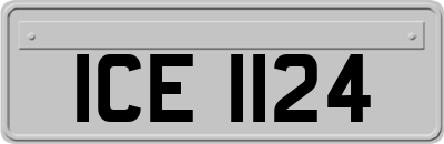 ICE1124