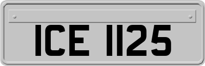 ICE1125