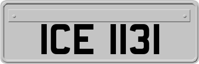 ICE1131