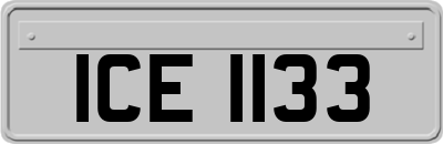 ICE1133