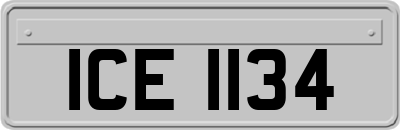 ICE1134