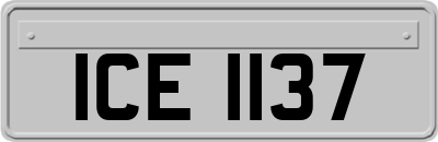 ICE1137