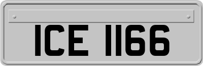 ICE1166