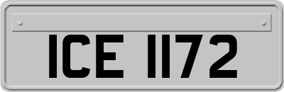 ICE1172