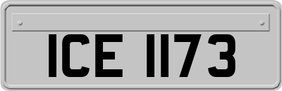 ICE1173