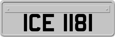 ICE1181