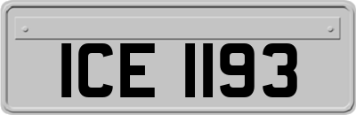 ICE1193