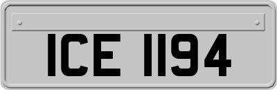 ICE1194