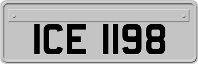 ICE1198