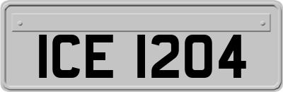 ICE1204