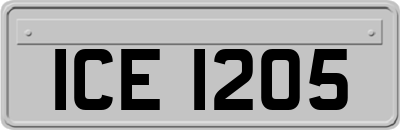ICE1205