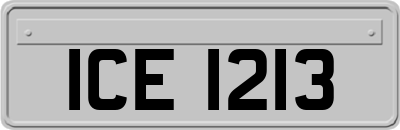 ICE1213