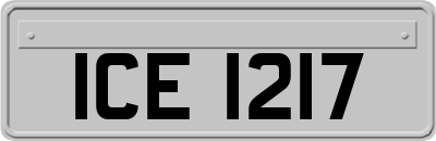 ICE1217