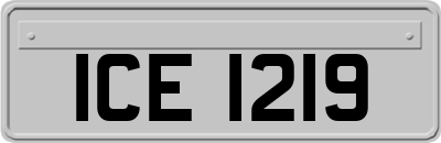 ICE1219