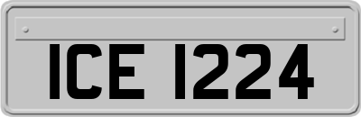 ICE1224