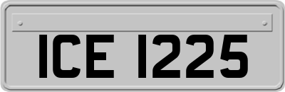ICE1225
