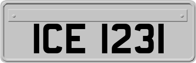 ICE1231