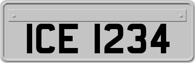ICE1234